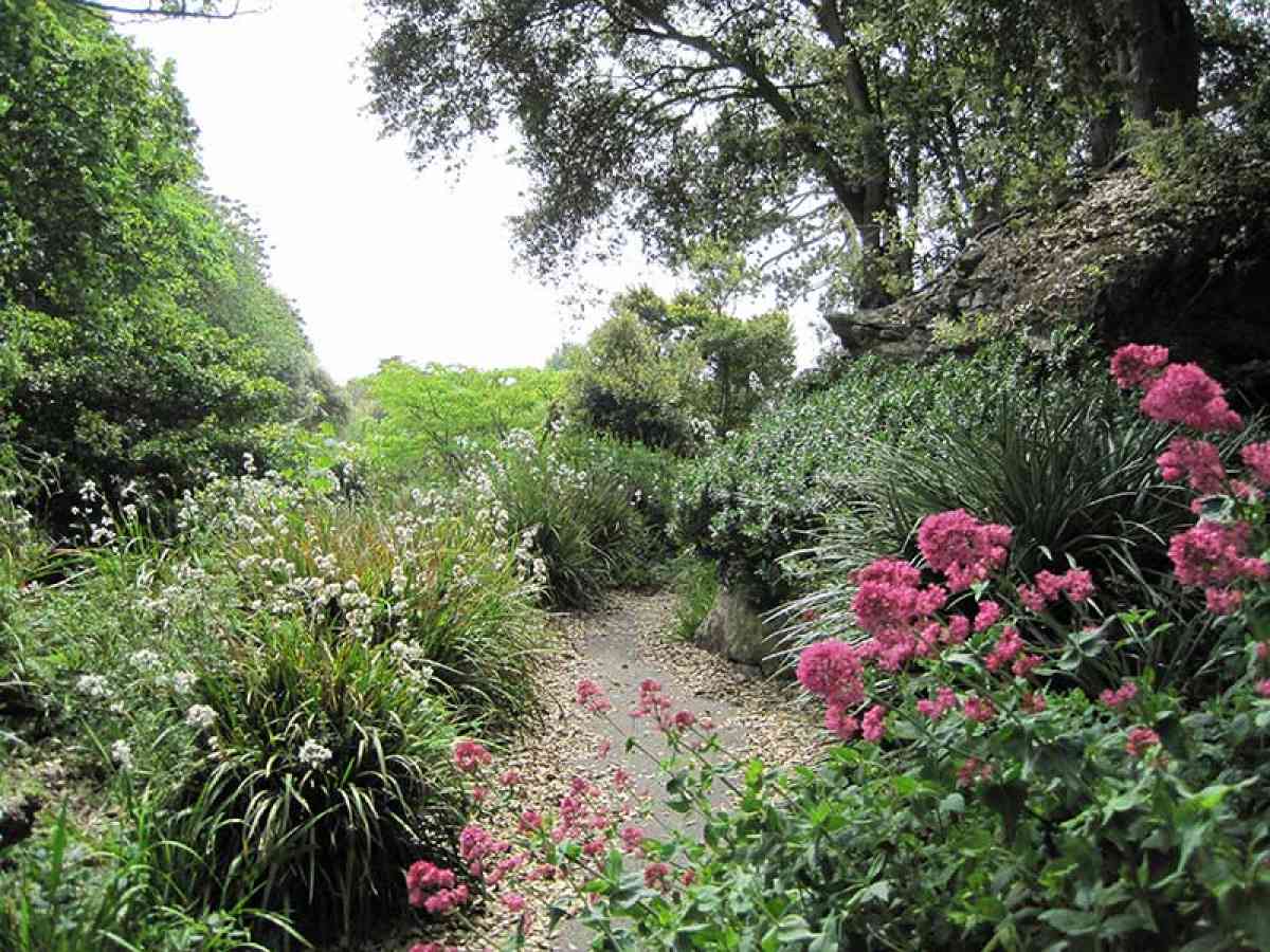 Ventnor Botanic Garden picture gallery